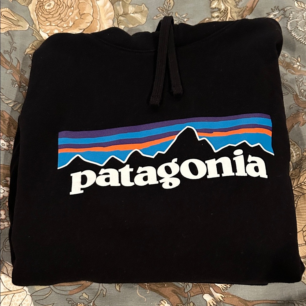 Like New Patagonia Hooded Sweatshirt